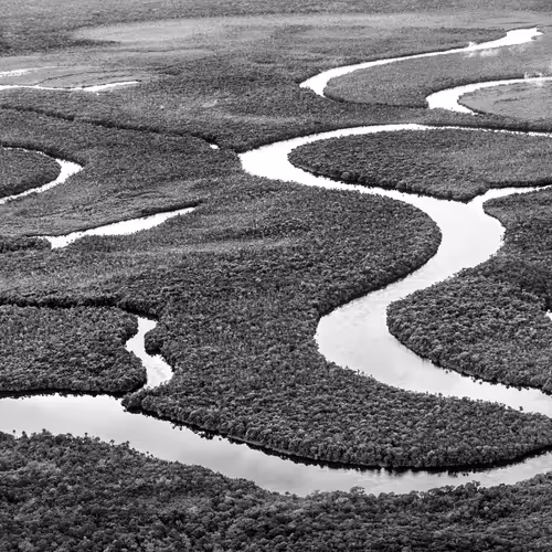 Amazonia Sebastiao Salgado