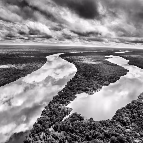 Amazonia Sebastiao Salgado