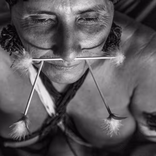 Amazonia Sebastiao Salgado