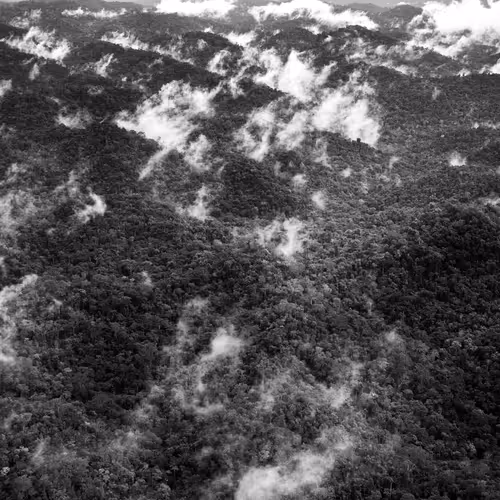 Amazonia Sebastiao Salgado
