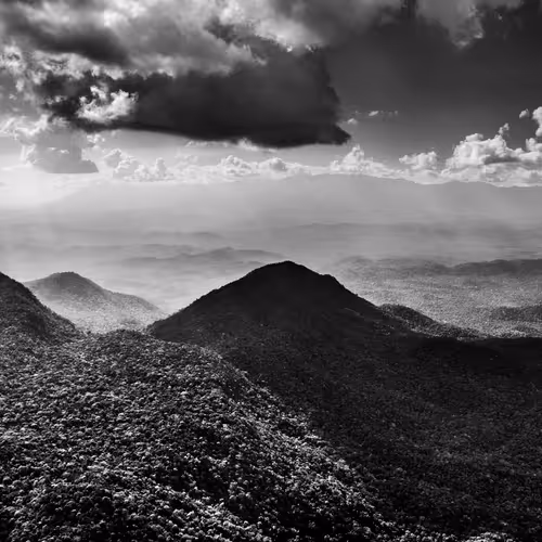 Amazonia Sebastiao Salgado