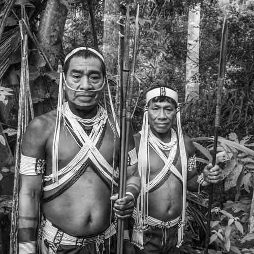 Amazonia Sebastiao Salgado