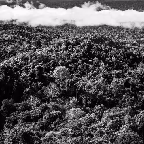 Amazonia Sebastiao Salgado