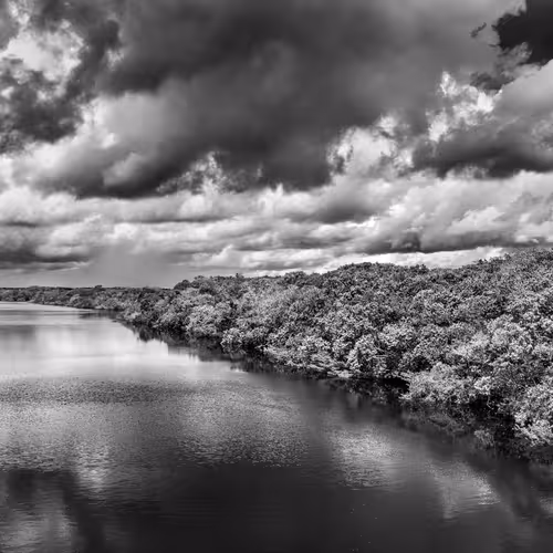 Amazonia Sebastiao Salgado