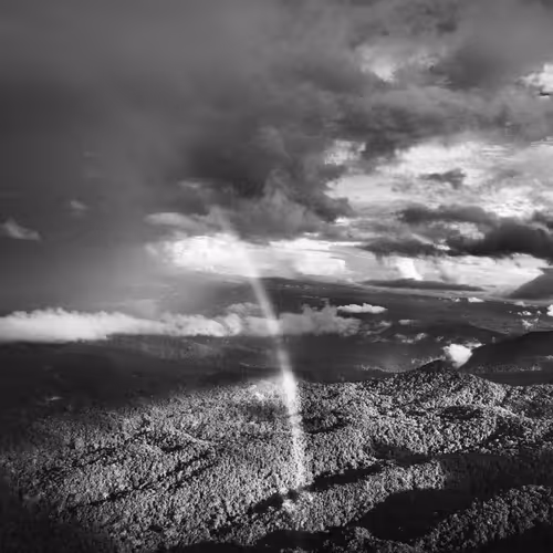 Amazonia Sebastiao Salgado