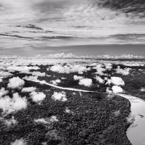 Amazonia Sebastiao Salgado
