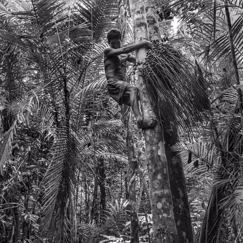 Amazonia Sebastiao Salgado