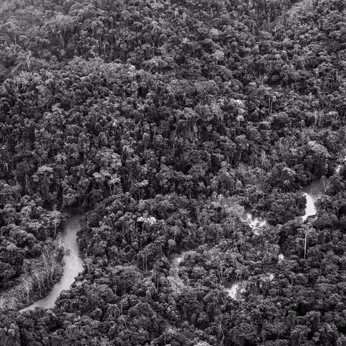Amazonia Sebastiao Salgado
