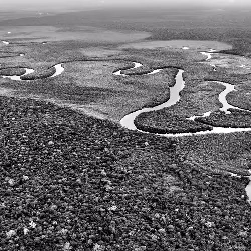 Amazonia Sebastiao Salgado