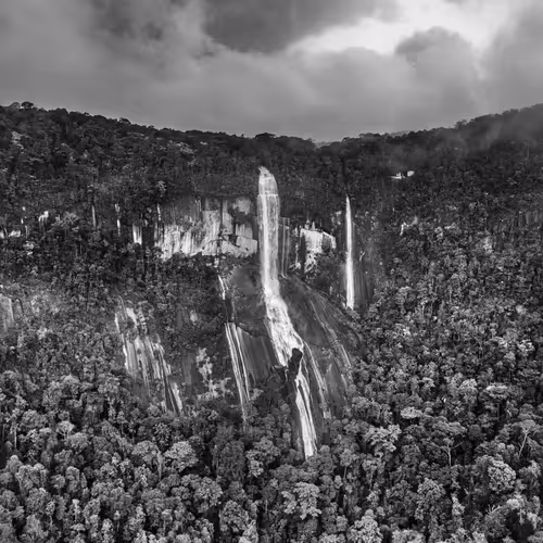 Amazonia Sebastiao Salgado