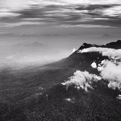 Amazonia Sebastiao Salgado