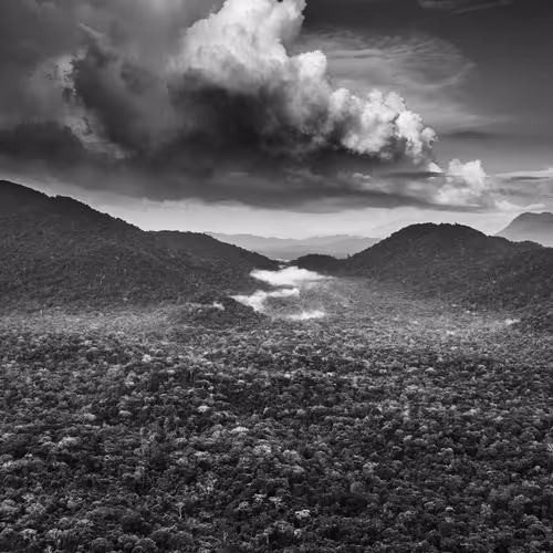 Amazonia Sebastiao Salgado