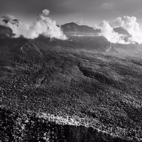 Amazonia Sebastiao Salgado