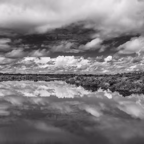 Amazonia Sebastiao Salgado