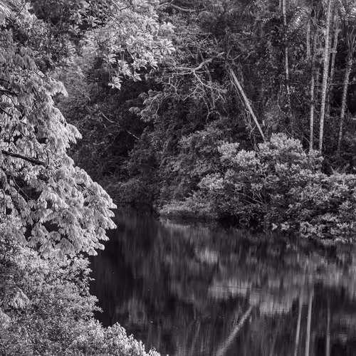 Amazonia Sebastiao Salgado