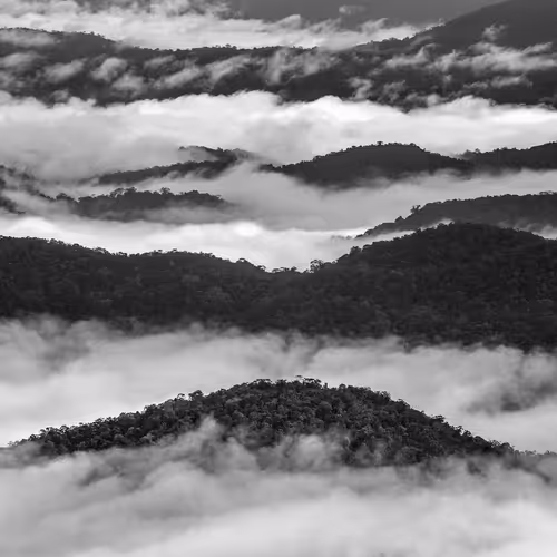 Amazonia Sebastiao Salgado