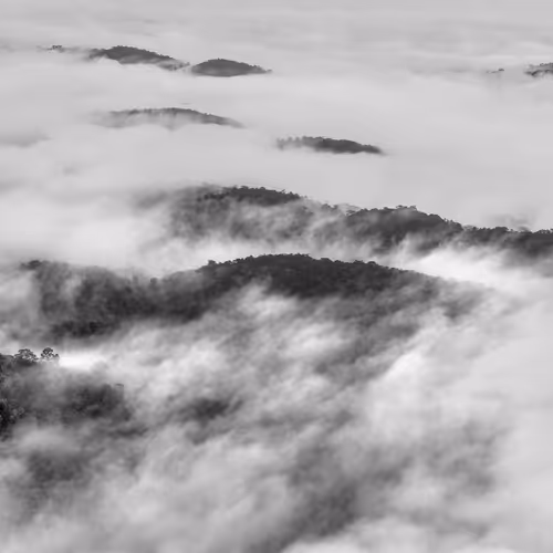Amazonia Sebastiao Salgado