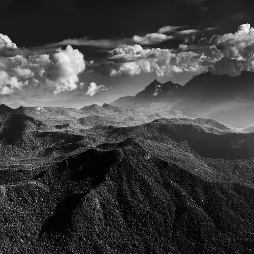 Amazonia Sebastiao Salgado