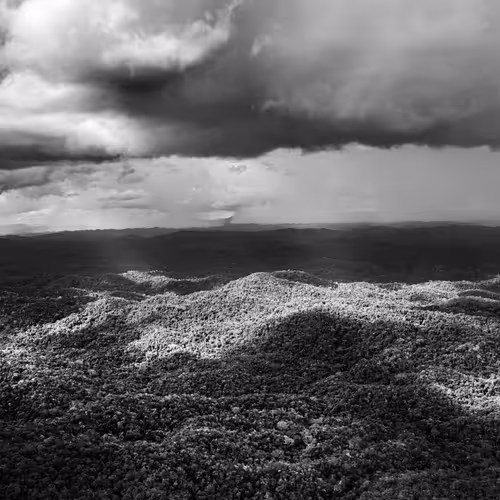 Amazonia Sebastiao Salgado
