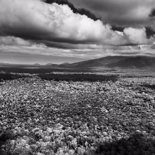 Amazonia Sebastiao Salgado