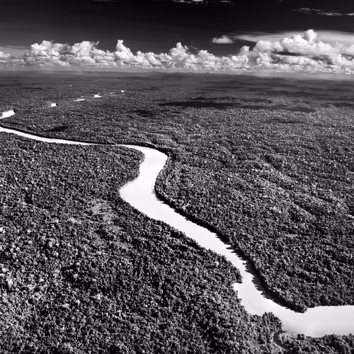 Amazonia Sebastiao Salgado
