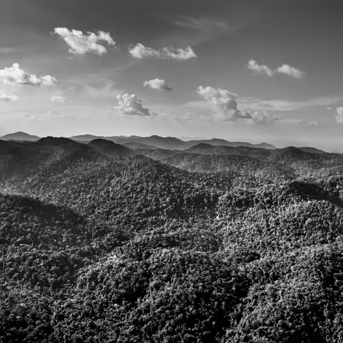 Amazonia Sebastiao Salgado
