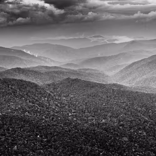 Amazonia Sebastiao Salgado