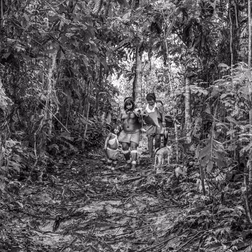 Amazonia Sebastiao Salgado