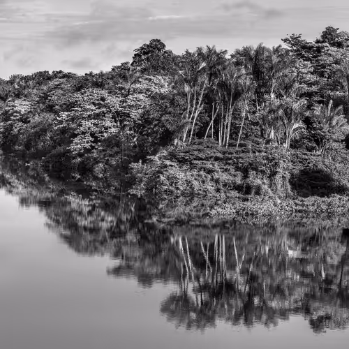 Amazonia Sebastiao Salgado