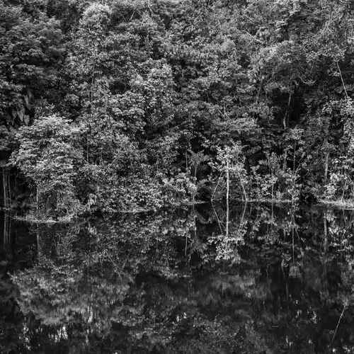 Amazonia Sebastiao Salgado