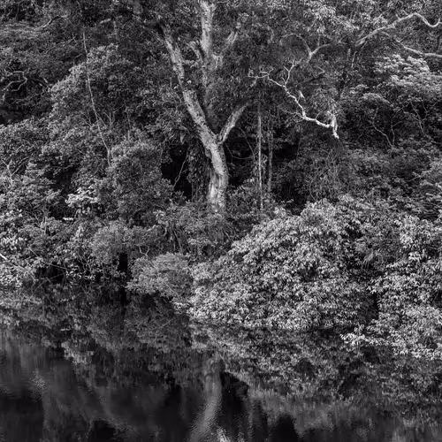 Amazonia Sebastiao Salgado