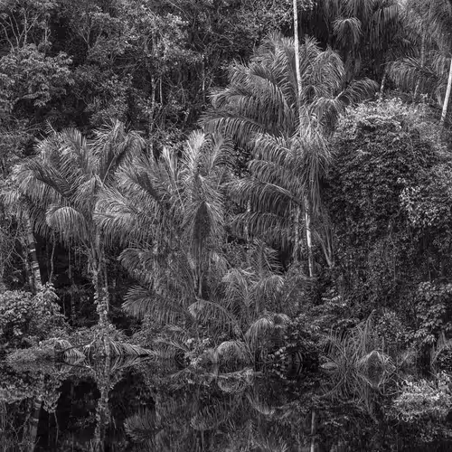 Amazonia Sebastiao Salgado