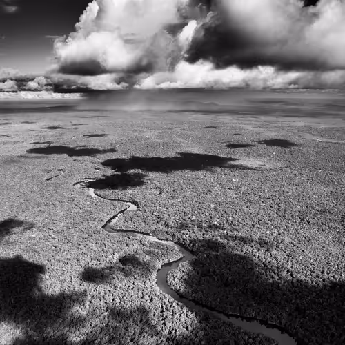 Amazonia Sebastiao Salgado