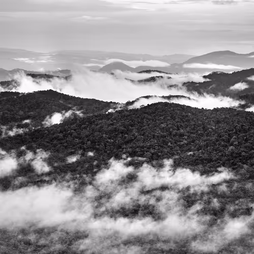 Amazonia Sebastiao Salgado