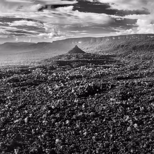 Amazonia Sebastiao Salgado