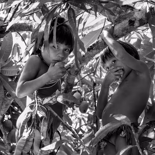 Amazonia Sebastiao Salgado