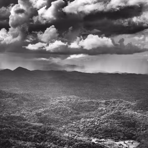 Amazonia Sebastiao Salgado
