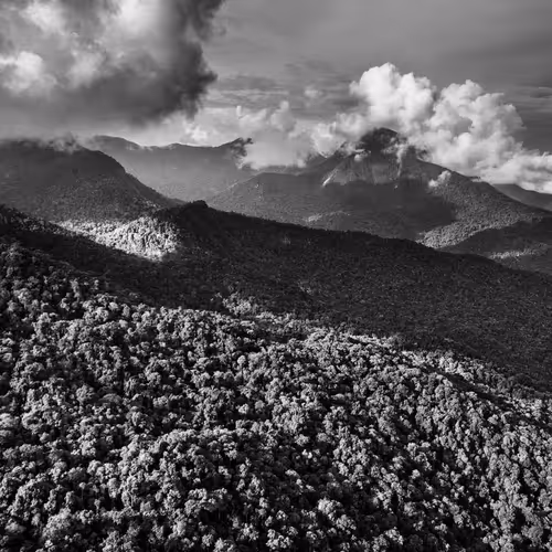 Amazonia Sebastiao Salgado