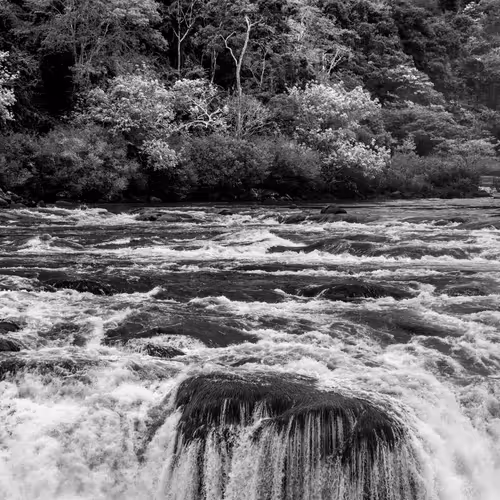 Amazonia Sebastiao Salgado