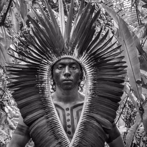 Amazonia Sebastiao Salgado