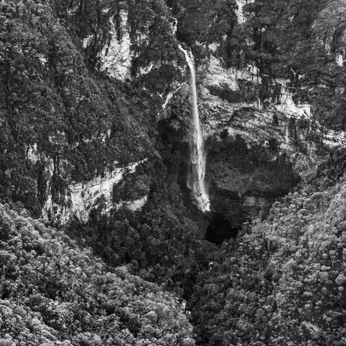 Amazonia Sebastiao Salgado