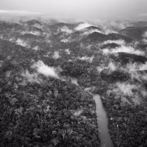 Amazonia Sebastiao Salgado