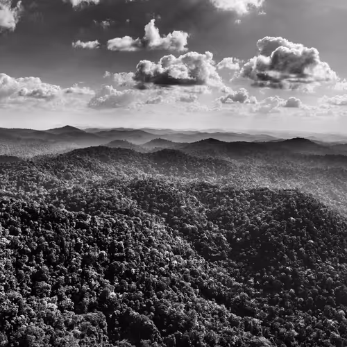Amazonia Sebastiao Salgado