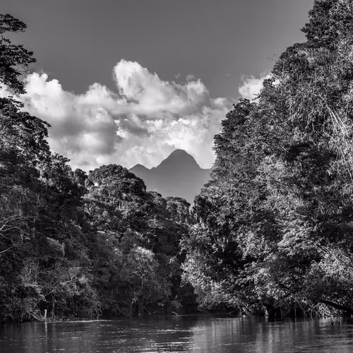 Amazonia Sebastiao Salgado