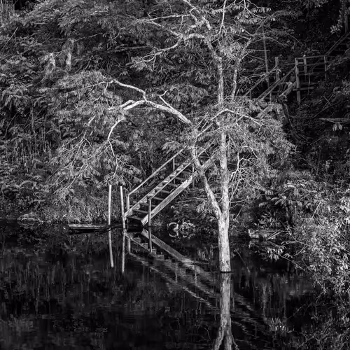 Amazonia Sebastiao Salgado