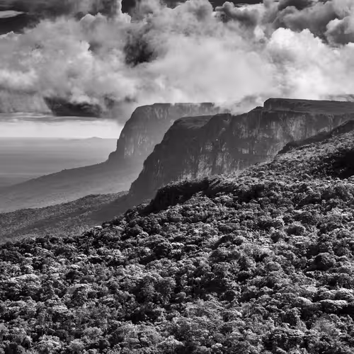 Amazonia Sebastiao Salgado