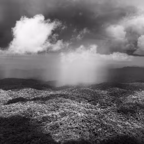 Amazonia Sebastiao Salgado