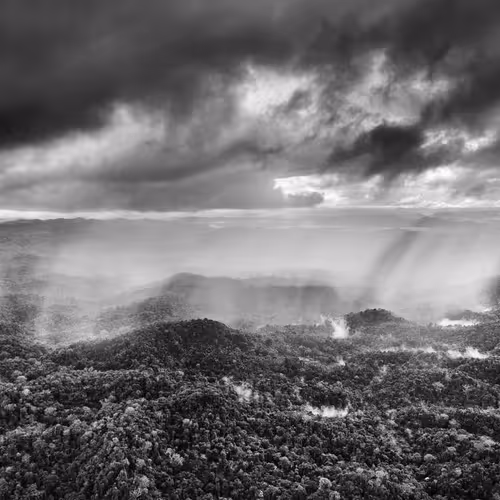 Amazonia Sebastiao Salgado