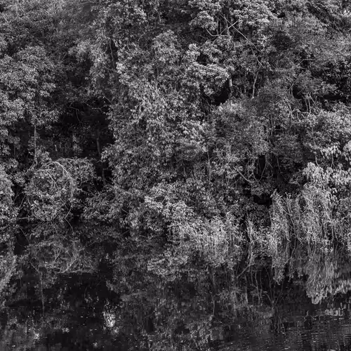 Amazonia Sebastiao Salgado