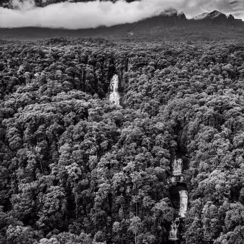 Amazonia Sebastiao Salgado